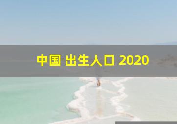 中国 出生人口 2020